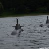 Koeln2014_1 (57)
